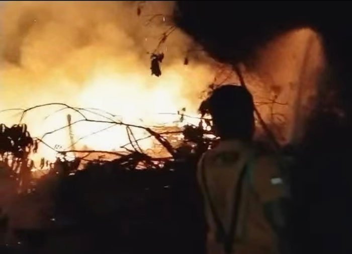 Kondisi api dengan cepat menjalar kebun karet yang telah ditumbangkan saat TRC BPBD Rohul melakukan upaya pemadaman lahan terbakar di Desa Tanbel, Kecamatan Rambah, Selasa (28/10/2025).