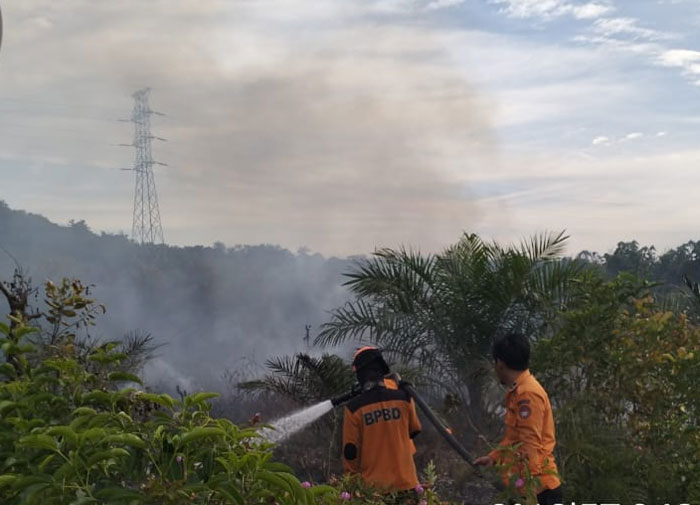 Tim gabungan memadamakan kebakaran lahan di Desa Salo, Kecamatan Salo, Kabupaten Kampar, Rabu (29/10/2025).