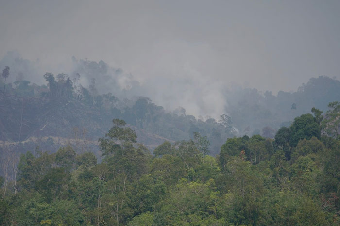 Tiga sebaran titik api di temukan di Rohul, Rabu (29/10/2025) petang. Kondisi Karhutla yang terjadi di lokasi Perbukitan Kecamatan Rambah belum lama ini.