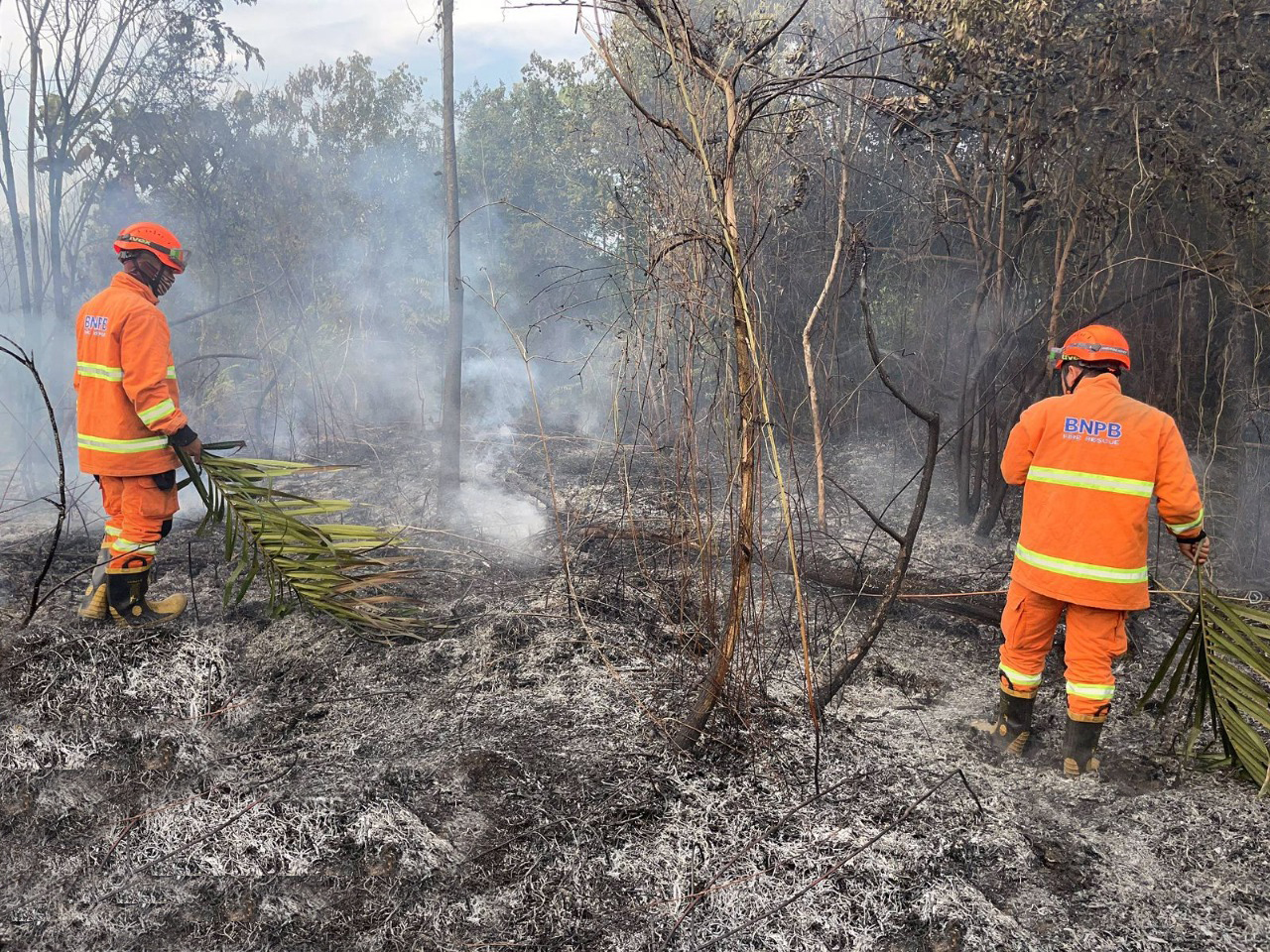 Satgas TRC Pusdalops-PB BPBD Kampar memadamkan api yang membakar lahan di Desa Ridan Permai, Kecamatan Bangkinang Kota, Kabupaten Kampar, Jumat (31/10/2025).