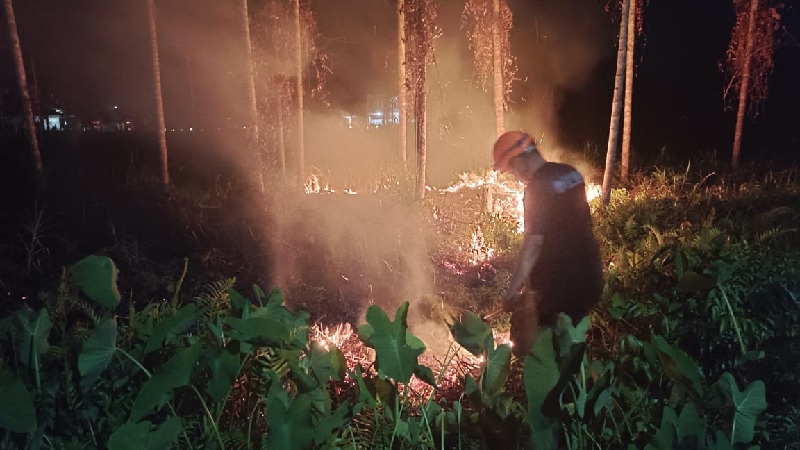Tim Reaksi Cepat BPBD Inhil melakukan pemadaman dan pendinginan di lokasi karhutla di Jalan Pekan Arba, Tembilahan, Inhil, Sabtu (1/11/2025) malam.