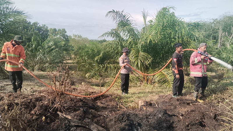 Tim Gabungan bersama BPBD berhasil memadamkan dua titik kebakaran lahan di Kecamatan Salo, Kabupaten Kampar, Selasa (4/11/2025).