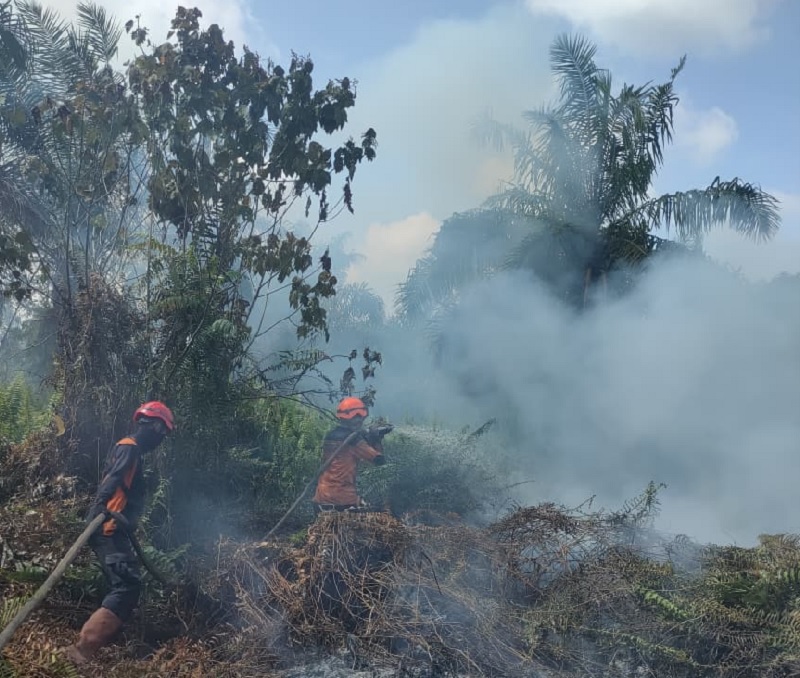 TRC BPBD Inhil sedang melakukan pemadaman dan pendinginan di lokasi karhutla di Desa Bayas Jaya, Kecamatan Kempas, Kabupaten Inhil, Selasa (4/11/2025).