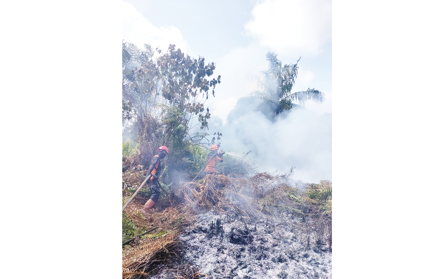 TRC BPBD sedang melakukan pemadaman terhadap lahan yang terbakar di Desa Bayas Jaya, Kecamatan Kempas, Kabupaten Indragiri Hilir, Selasa (4/11/2025).