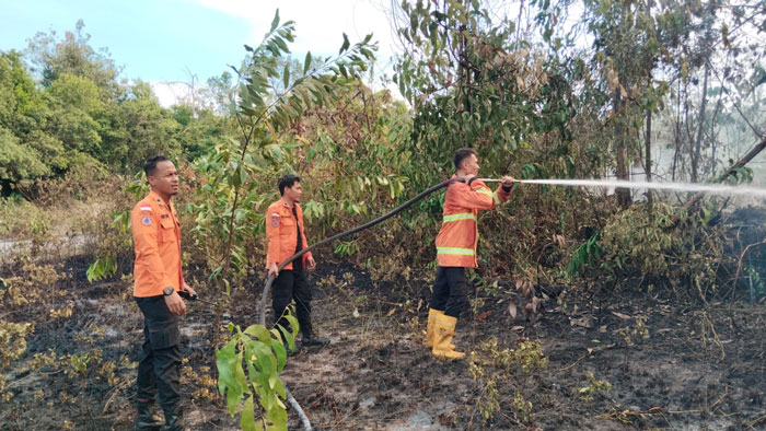 Tim gabungan memadamakan kebakaran lahan  di Desa Salo, Kecamatan Salo, Kabupaten Kampar, Rabu (5/11/2025).