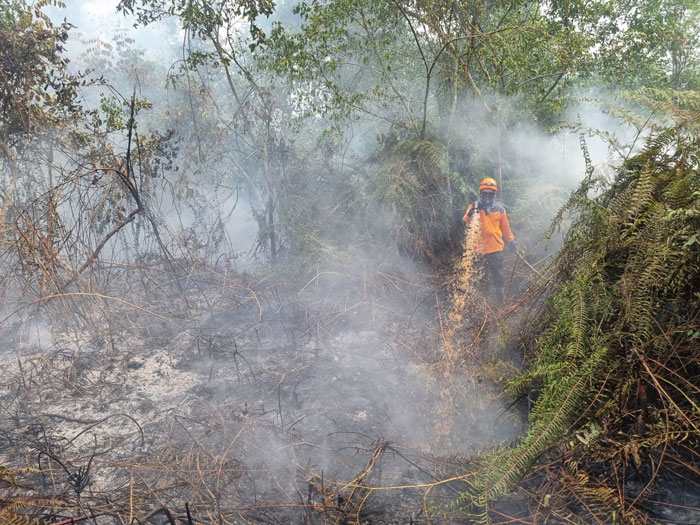 TRC BPBD Inhil sedang melakukan pemadaman di Desa Pancur, Kecamatan Keritang, Kabupaten Inhil dengan lahan yang terbakar seluas 33 hektare, Kamis (6/11/2025).