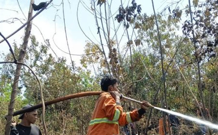 Tim gabungan berhasil memadamkan kebakaran lahan yang terjadi di wilayah Kecamatan Salo, Kabupaten Kampar, Kamis (7/11/2025).