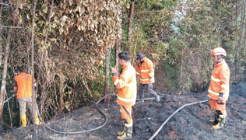 Tim Satgas Gabungan penanggulangan bencana karhutla berhasil memadamkan api yang melahap lahan gambut seluas 2,40 hektar di Desa Merangin, Kecamatan Kuok, Kabupaten Kampar, Jumat (7/11/2025)