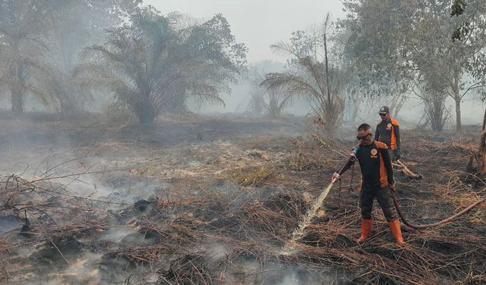 Petugas sedang berupaya melakukan pemadaman Karhutla di Desa Pancur, Kecamatan Keritang, Kabupaten Inhil, Jumat (7/11/2025).