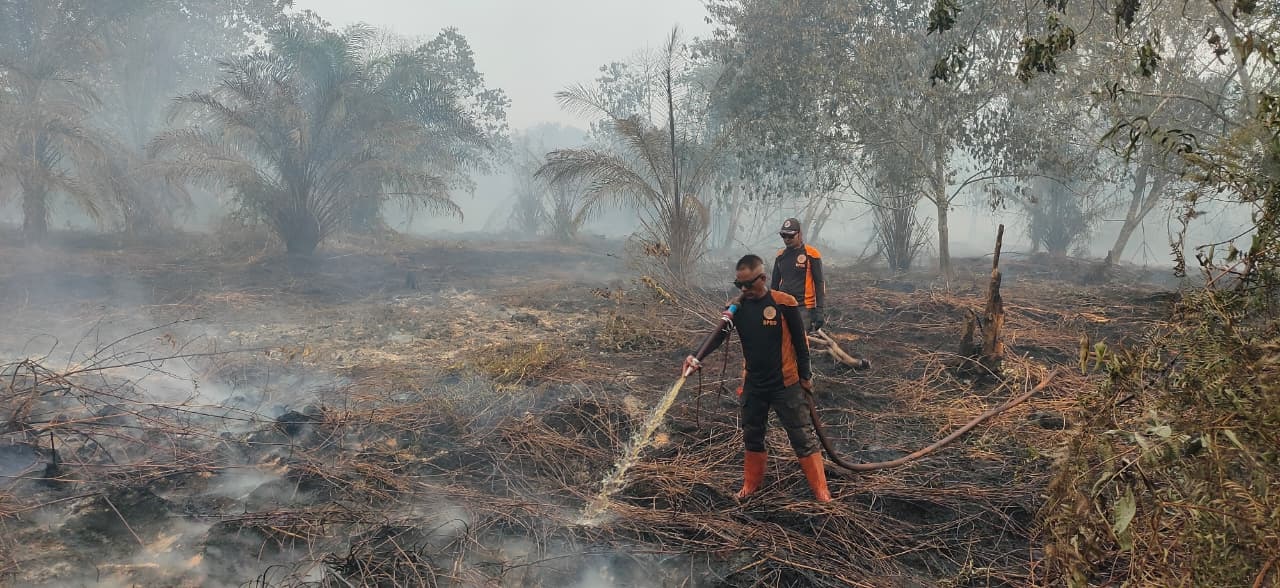 Petugas sedang berupaya memadamkan api yang membakar lahan di Desa Pancur, Kecamatan Keritang, AKabupaten Indragiri Hilir, Jumat (7/11/2025).
