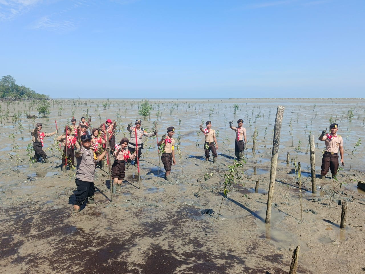 Siswa MTs Raudatut Thalibin tampak bersemangat saat penanaman bibit mangrove di Kepulauan Meranti, beberapa waktu lalu.