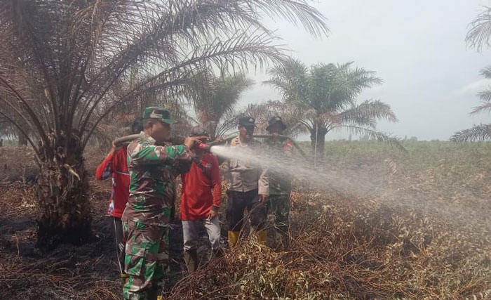 Petugas Gabung memadamkan api yang membakar lahan milik masyarakat di Jalaj Rokan Km 16 RT01/RW01 Dusun Ponti Kijai, Desa Buluh Apo, Kecamatan Pinggir, Bengkalis, Ahad (9/11/2025).