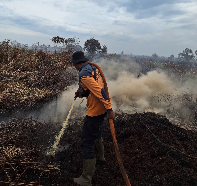Petugas BPBD Inhil tengah berjibaku memadamkan karhutla di Desa Pancur, Kecamatan Keritang yang luasnya mencapai 46 hekltare, Senin (10/11/2025).