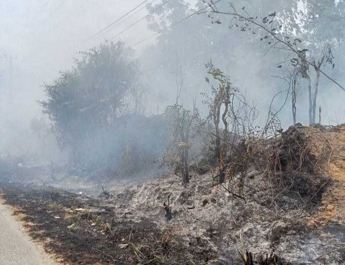Tim Pemadam Kebakaran Kuansing, berupaya memadamkan api yang membakar lahan kosong di Desa Jake, Kecamatan Kuantan Tengah, Senin (10/11/2025).
