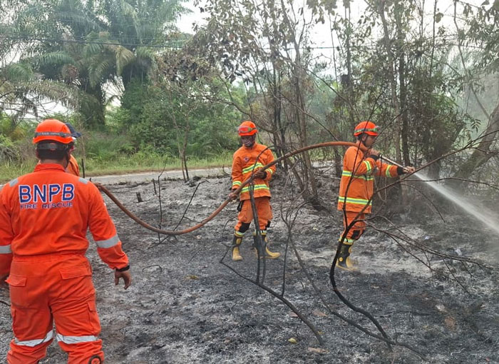 Satgas TRC BPBD Kabupaten Kampar bersama tim ULP PLN Tapung berjibaku memadamkan kebakaran lahan di Desa Bencah Kelubi, Kecamatan Tapung, Kabupaten Kampar, Rabu (12/11/2025).