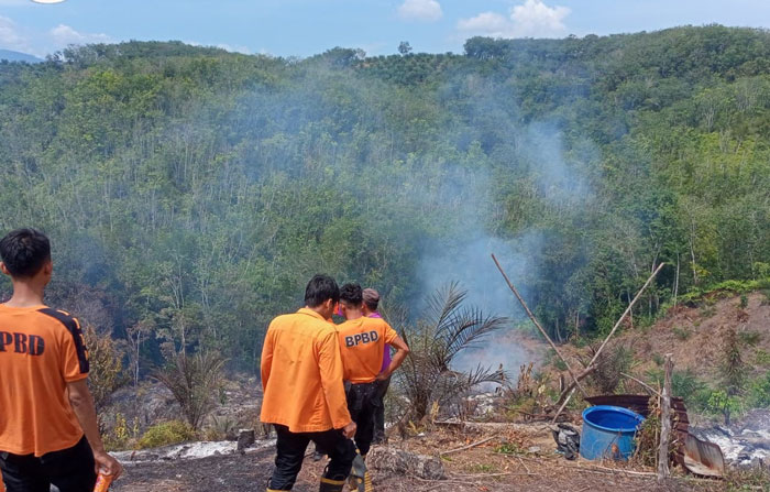 Kebakaran lahan terjadi di Desa Binamang, Kecamatan XIII Koto Kampar, dan menghanguskan sekitar 5 hektare lahan semak belukar milik masyarakat, Kamis (13/11/2025)