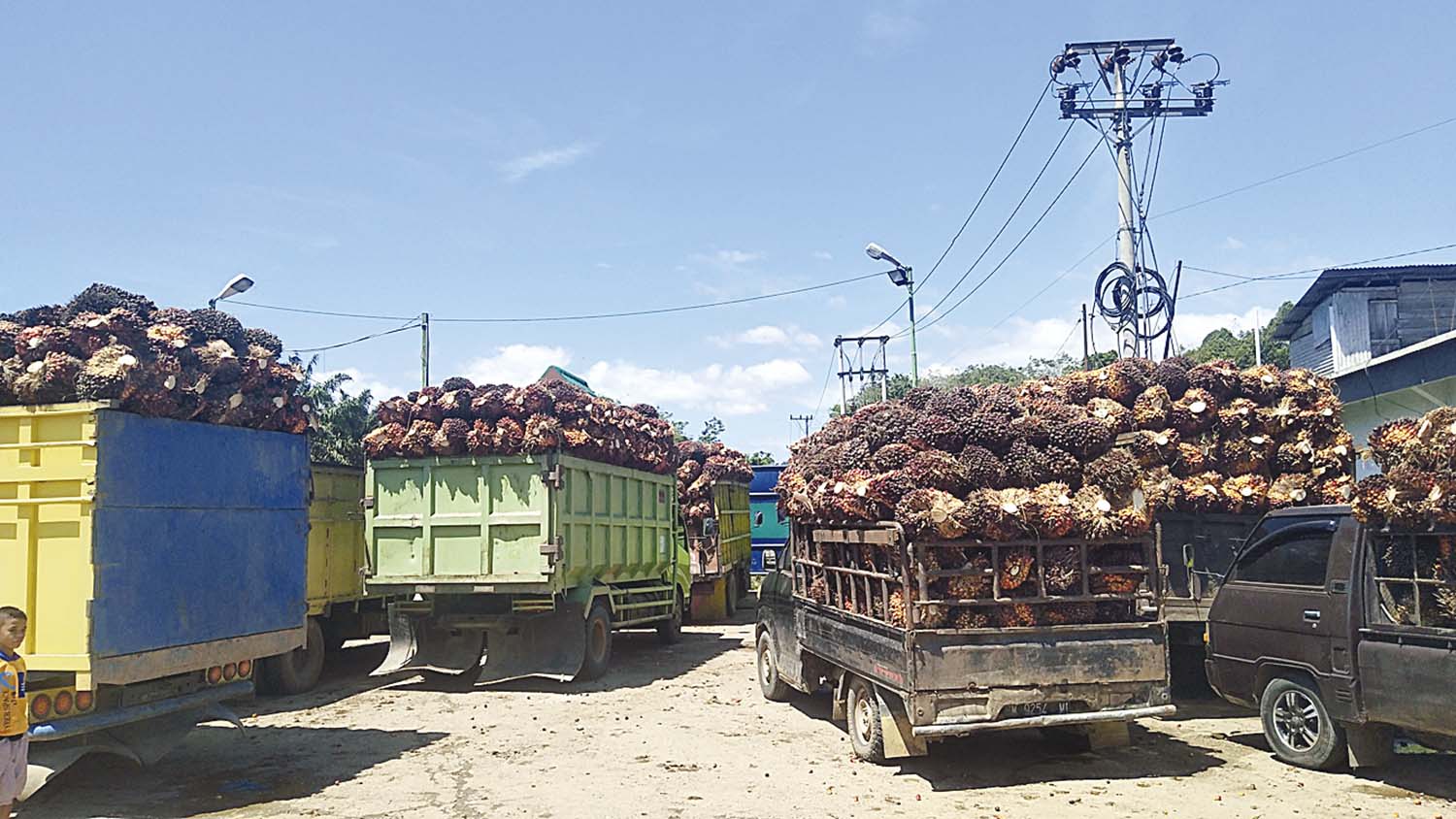 Sejumlah kendaraan antre saat mengantarkan tandan buah segar (TBS) kelapa sawit di salah satu pabrik kelapa sawit di Riau, belum lama ini. Kelapa sawit menjadi kontributor utama surplusnya neraca perdagangan pada September 2025.