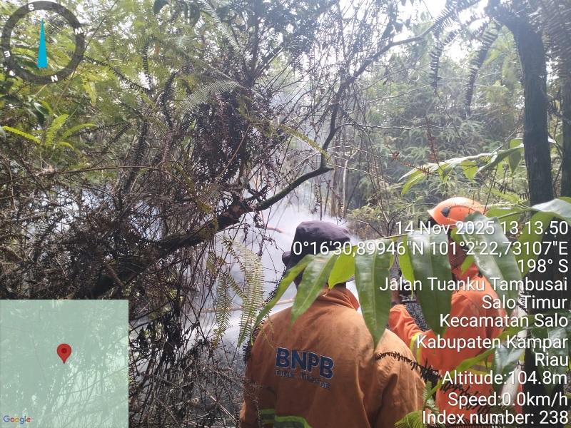 Tim gabungan berhasil memadamkan api yang membakar lahan di Desa Rimbo Panjang, Kecamatan Tambang, Kabupaten Kampar, Kamis (14/11/2025).