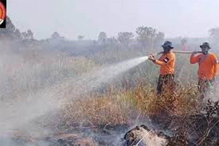 Ilustrasi pemadaman karhutla di Riau