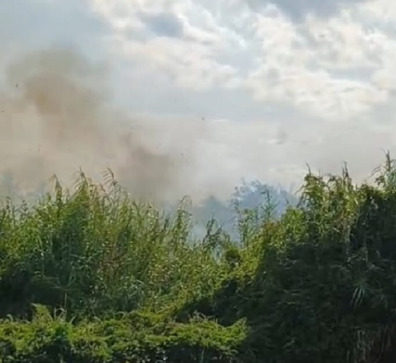 Kebakaran lahan terlihat dari kejauhan di Desa Kampung Baru Kecamatan Cerenti, Selasa (18/11/2025) siang.
