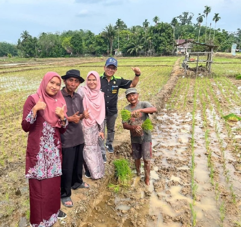 Kadis Tanaman Pangan Holtikultura dan Ketahanan Pangan Kuansing, Deflides Gusni meninjau area persawahan petani Desa Seberang Taluk Kecamatan Kuantan Tengah, pekan kemarin.