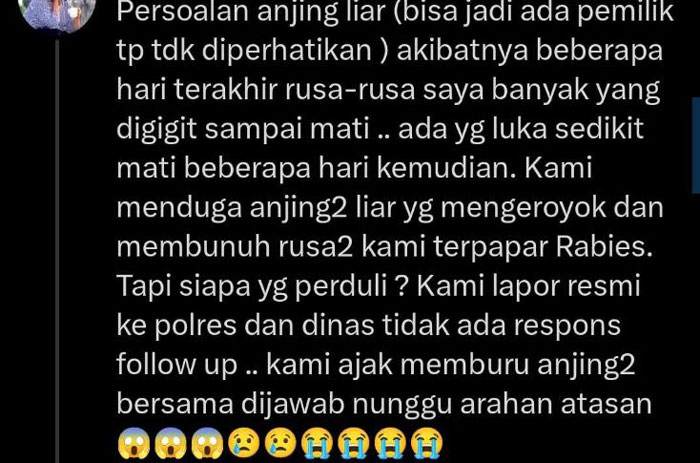 Curhatan Susi Pudjiastuti di X