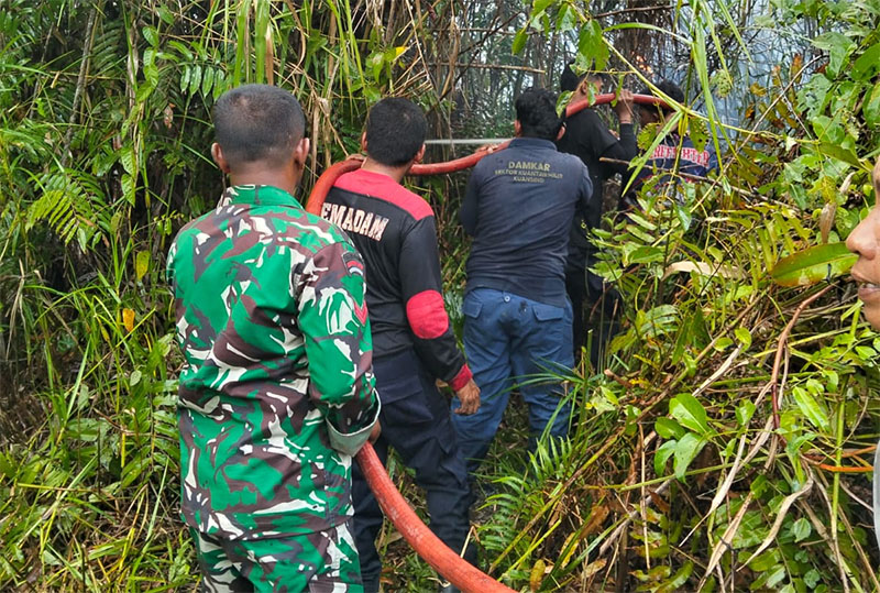 Petugas pemadam kebakaran bersama TNI berupaya memadamkan kebakaran lahan di Pulau Tongah Kecamatan Pangean, baru-baru ini.