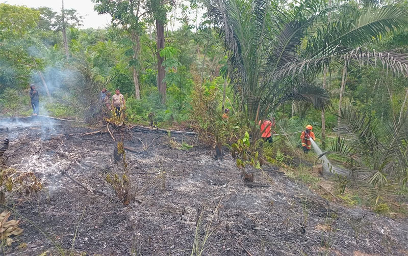 Tim Satgas TRC Pusdalops-PB BPBD Kampar bersama Satgas Gabungan melakukan pemadaman titik api di Desa Tanjung Rambutan, Kecamatan Kampar, Kabupaten Kampar, Kamis (20/11/2025).