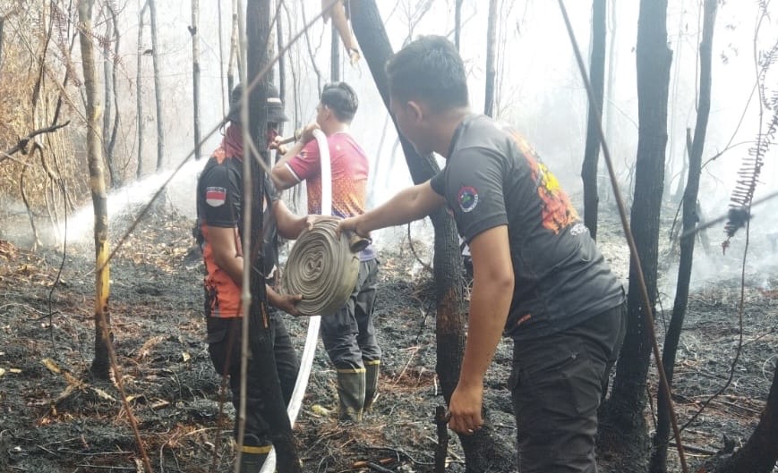 Satgas gabungan berhasil memadamkan kebakaran lahan di Des Salo Timur, Kecamatan Salo, Kabupaten Kampar, Ahad (23/11/2025).