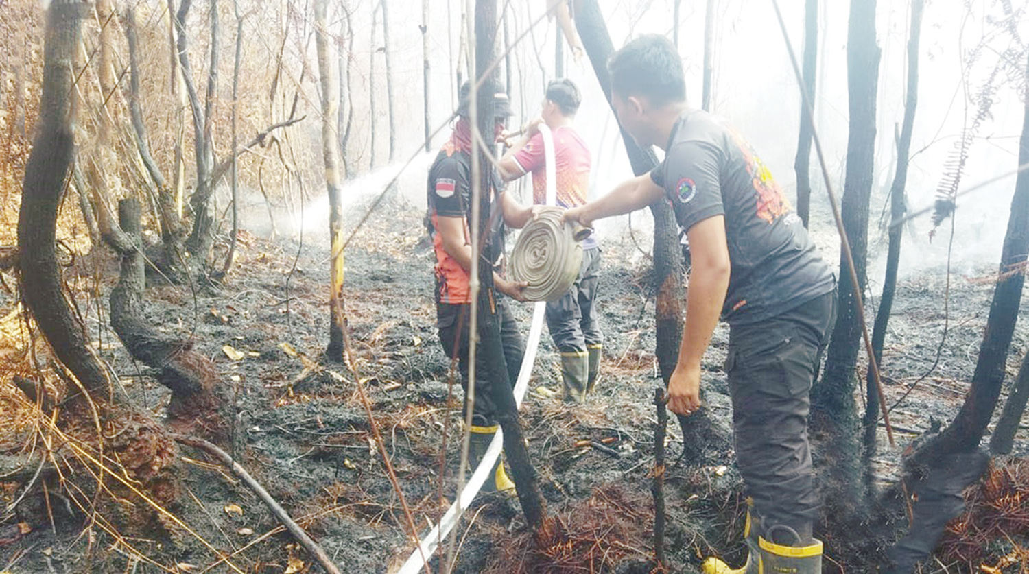 Satgas gabungan berusaha memadamkan api yang membakar lahan di Desa Salo Timur, Kecamatan Salo, Kabupaten Kampar, Ahad (23/11/2025).