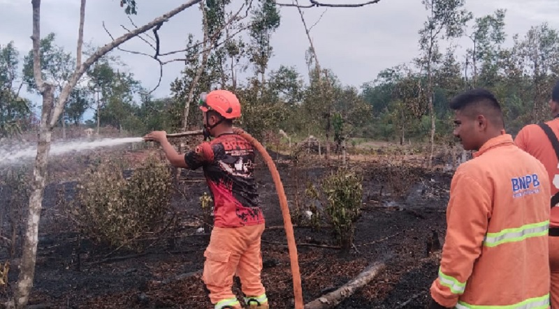 Tim TRC Pusdalops BPBD Kampar bersama tim gabungan memadamkan kebakaran lahan di Kelurahan Langgini, Kecamatan Bangkinang Kota, Kabupaten Kampar, Senin (24/11/2025).