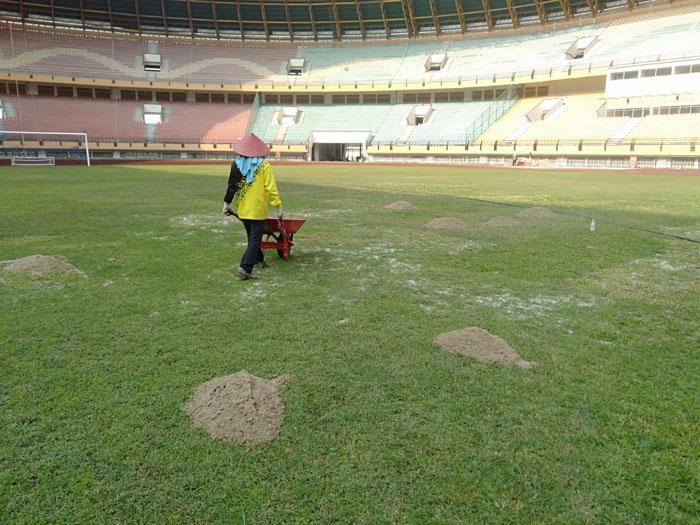 Perawatan rumput lapangan Stadion Utama Riau, beberapa waktu lalu. Dispora Riau kembali melakukan perawatan rumput mulai 1 Desember 2025.