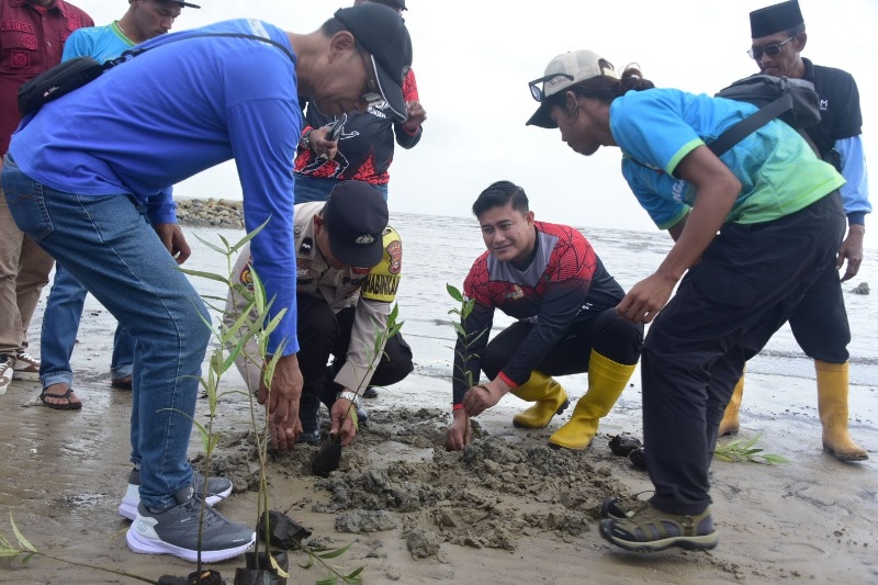 Camat Bantan Rafli Kurniawan menanam mangrove di pantai Indah Selatatan Kecamatan Bantan, Sabtu (29/11/2025)