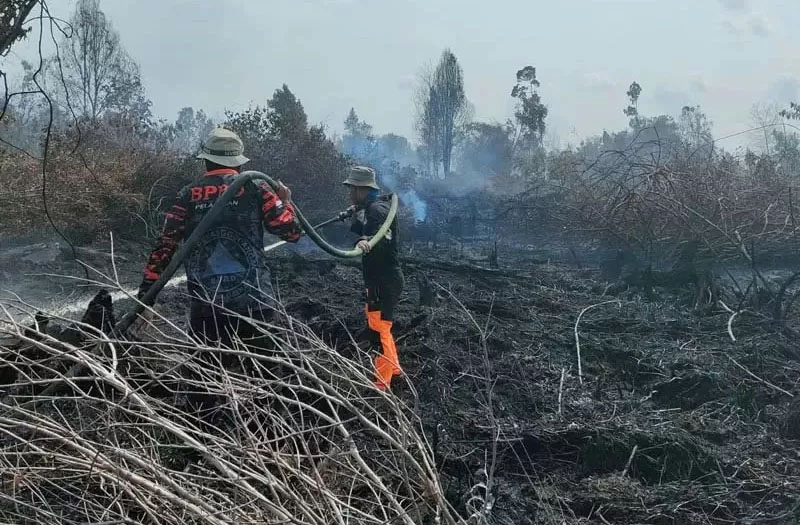 Personel BPBD Pelalawan melakukan pendinginan karhutla di Desa Pangkalan Gondai, Kecamatan Langgam, beberapa waktu lalu.
