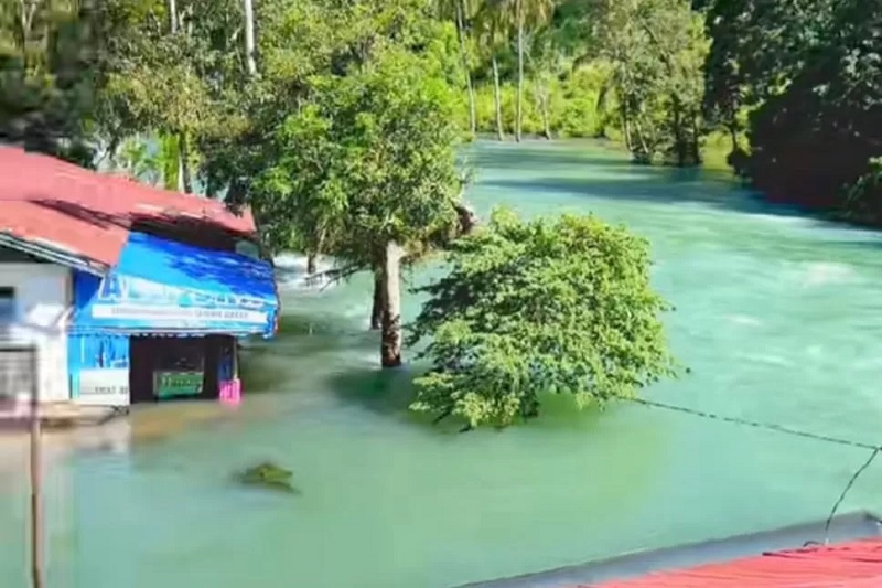 Aliran air Danau Singkarak di Sungai Ombilin mendadak jernih berwarna biru kehijauan mirip di Swiss.