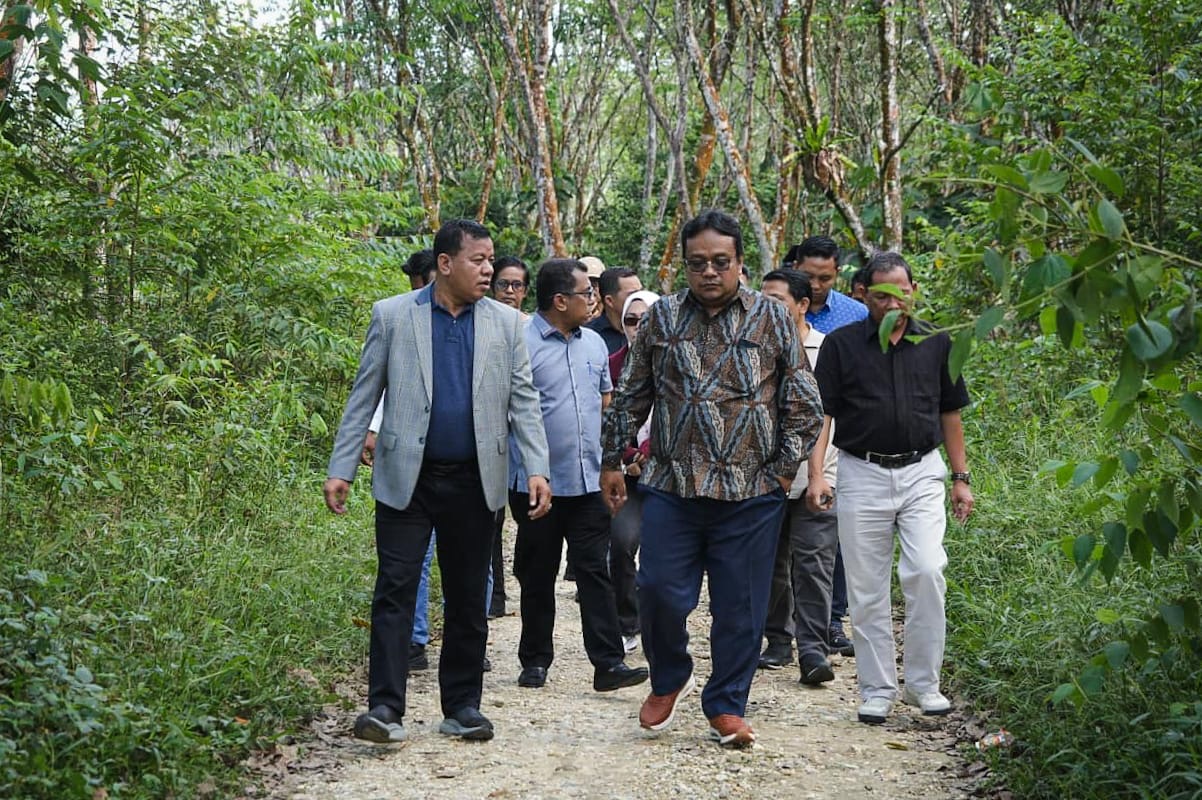 Tim Kemendiktisaintek didampingi Bupati Kuansing, Dr H Suhardiman Amby MM meninjau lokasi kebun karet Pemkab untuk pembangunan Sekolah Garuda, Sabtu (6/12/2025). Siang.