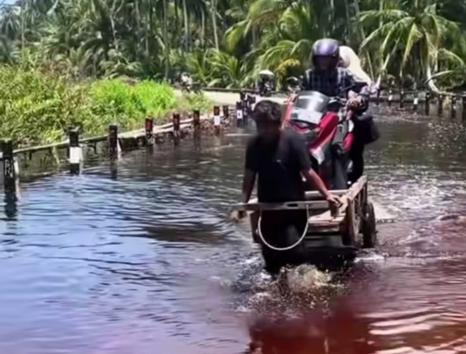 Masyarakat Pulau Bengkalis kembali menghadapi ancaman abrasi yang kian parah setiap tahun