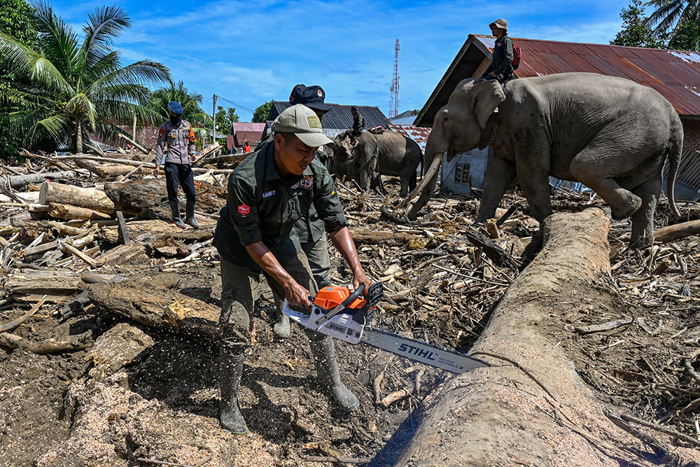 Personel Brimob menggunakan gergaji mesin memotong kayu saat membersihkan puing-puing pohon setelah banjir bandang di Meureudu, Pidie Jaya, Aceh, Senin (8/12/20
