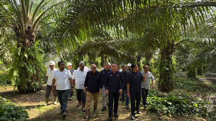 Direktur Utama PTPN IV PalmCo Jatmiko Santosa melakukan kunjungan kerja ke Kebun Tanah Putih, Rabu (10/12/2025).