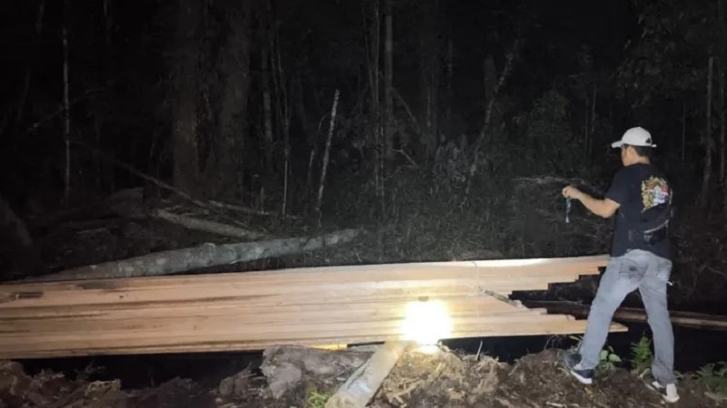 Tim Opsnal Satreskrim Polres Bengkalis melakukan penggerebekan di lokasi Illegal Logging di Desa Tanjung Leban, Kecamatan Bandar Laksamana, Rabu (10/12/2025).