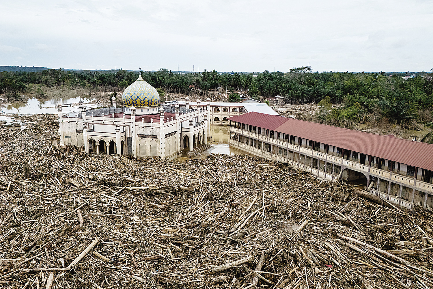 Kayu-kayu yang tersapu banjir bandang sekitar tiga pekan lalu bertumpuk di halaman Pesantren Darul Mukhlisin dan masjid yang terhubung dengan pesantren tersebut di Aceh Tamiang, Aceh.