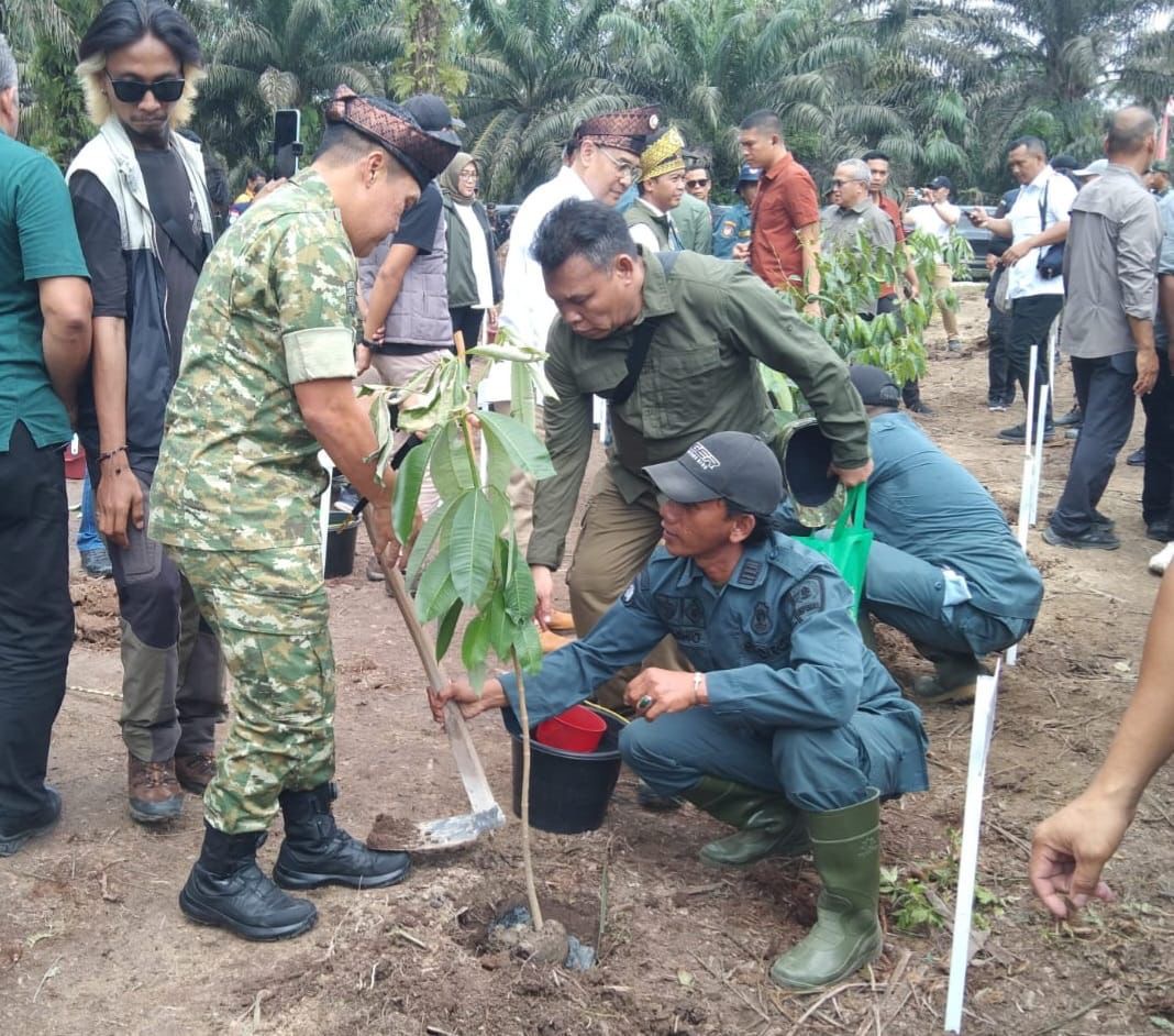 Pangdam XIX/Tuanku Tambusai Mayjen TNI Dr Agus Hadi Waluyo saat penenaman pohon di areal TNTN, Sabtu (20/12/2025).