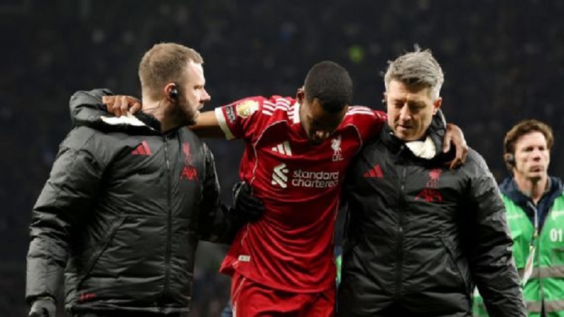 Alexander Isak terpincang keluar lapangan setelah mencetak gol melawan Tottenham Hotspur.