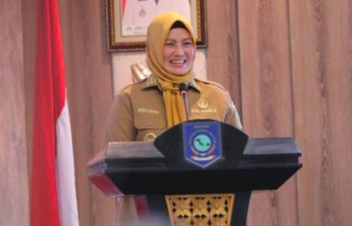 Wakil Gubernur Bangka Belitung, Hellyana