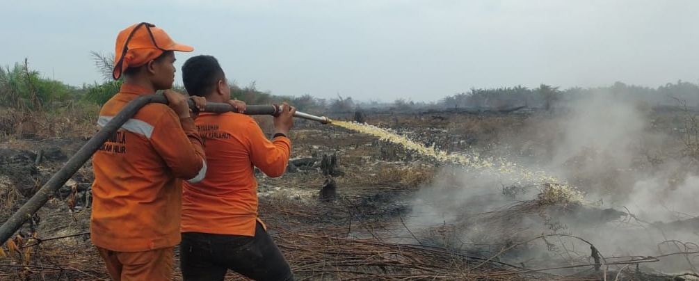 Personel Badan Penanggulangan Bencana Daerah Rokan Hilir memadamkan api yang membakar lahan, baru-baru ini.