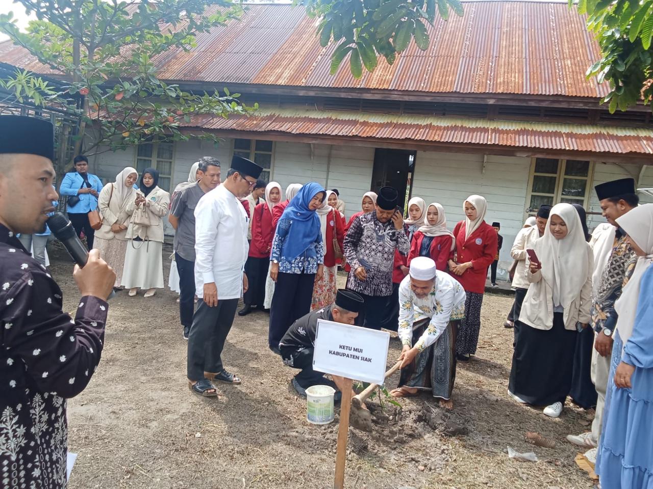 Ketua Umum MUI Kabupaten Siak KH. Ahmad Muhaimin, S.Ag bersama Kepala Dinas Lingkungan Hidup Kabupaten Siak Amin Soimin, SH, M.Si disaksikan mahasiswa menanam pohon di belakang Kantor MUI Siak.