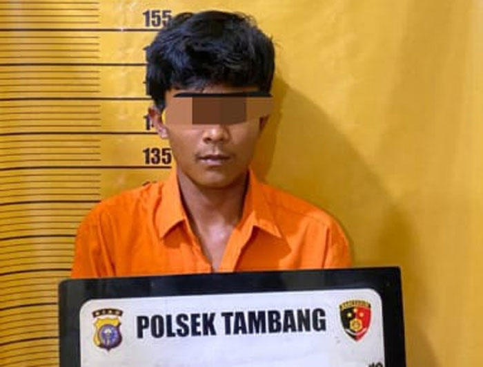 Unit Reskrim Polsek Tambang berhasil meringkus seorang pria berinisial PU (21) atas dugaan kekerasan seksual terhadap anak di bawah umur berinisial IH (17), Kamis (1/1/2026).
