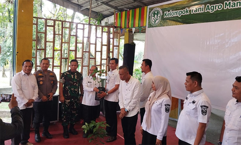 Pembagian bibit cabai oleh kelompok tani AMS di Taman Rekreasi Alam Mayang Pekanbaru, Rabu (7/1/2026).