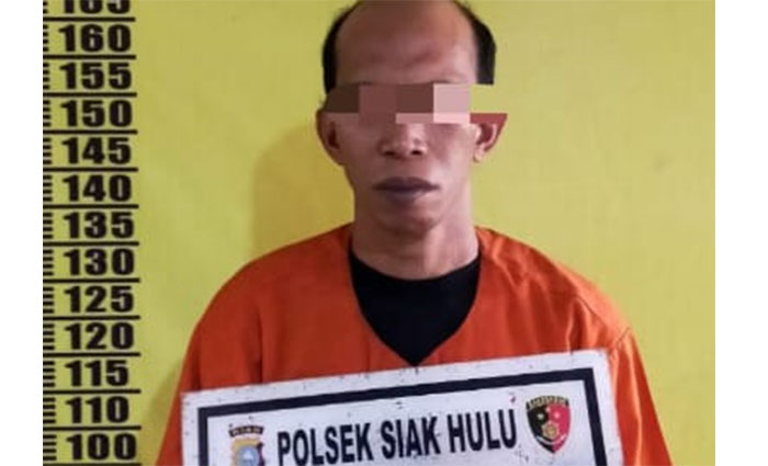 Unit Reskrim Polsek Siak Hulu meringkus seorang pria berinisial HA atas dugaan pencabulan terhadap anak tirinya, Senin (5/1/2026).