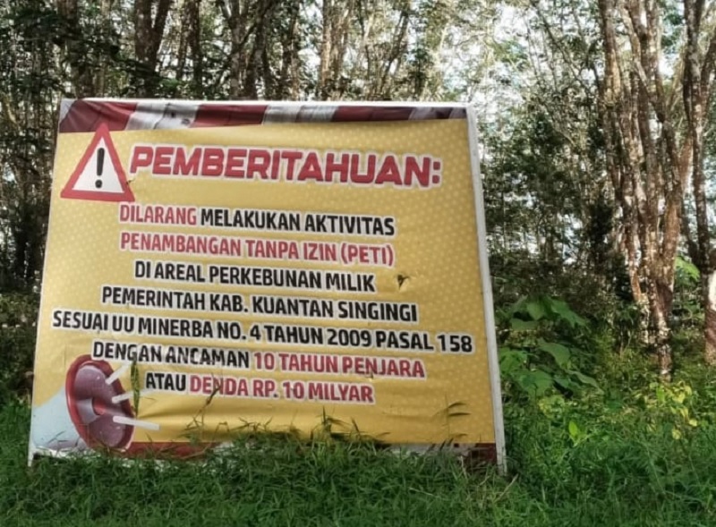 Disbunnak Kuansing memasang spanduk larangan aktivitas PETI di area kebun karet Pemkab di Desa Jake Kecamatan Kuantan Tengah, kemarin.